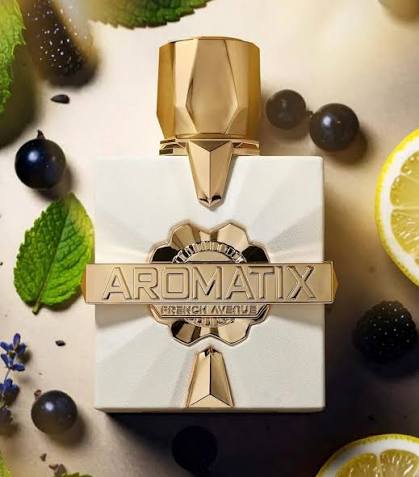 Aromatix Platine Blanc