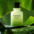 Michael Malul Ginger + Mist