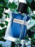 YSL Y Iced Cologne