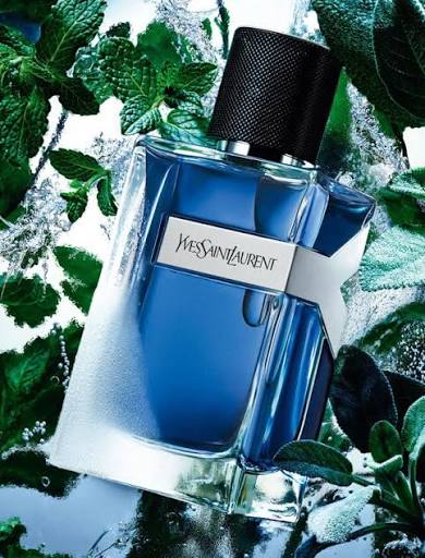 YSL Y Iced Cologne