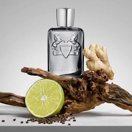 Parfums De Marley Castley